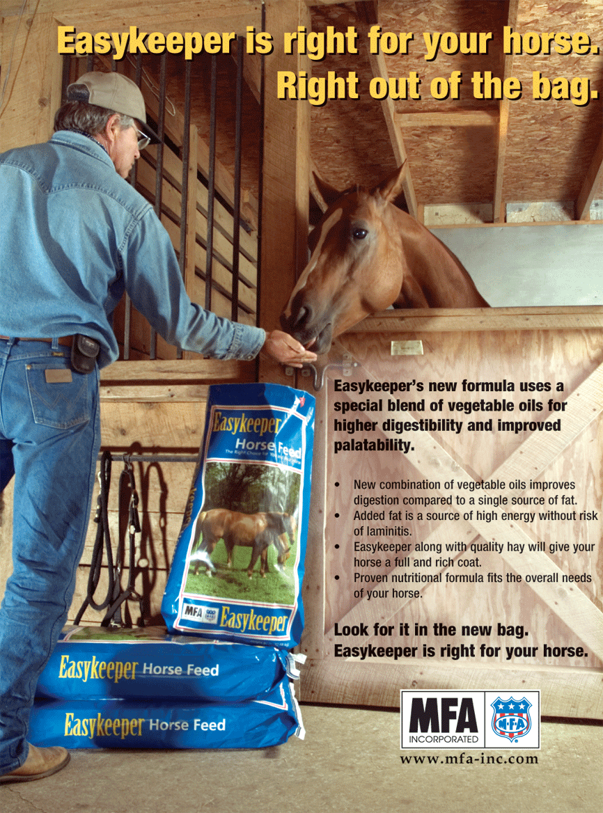 sales flyer